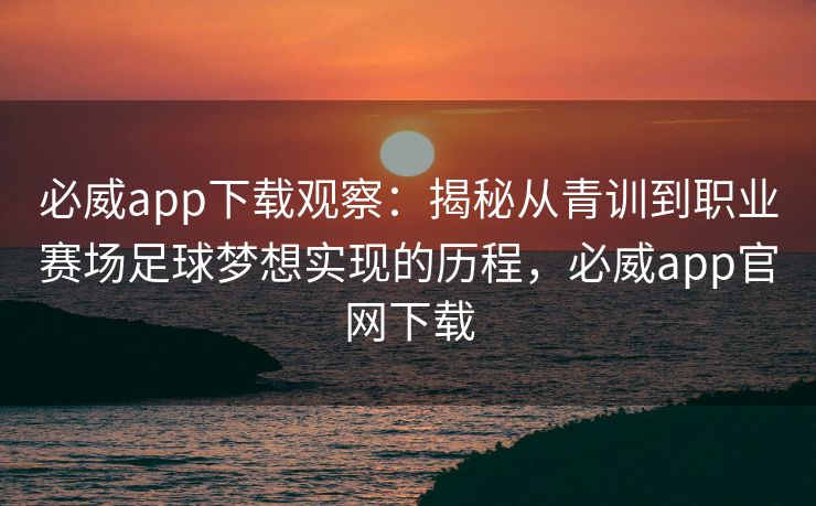 必威app下载观察：揭秘从青训到职业赛场足球梦想实现的历程，必威app官网下载  第2张